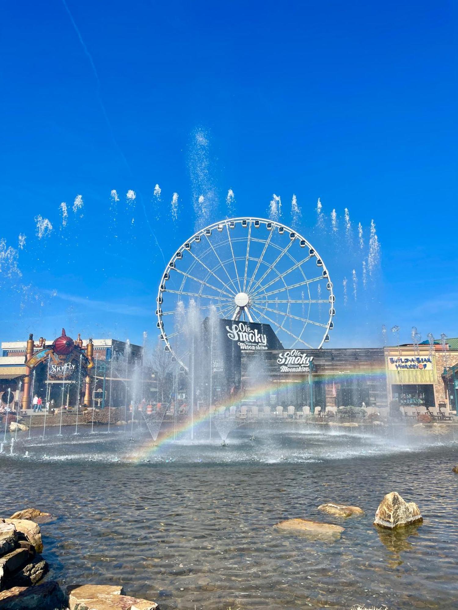 Blue Bear Splash Vila Pigeon Forge Exterior foto