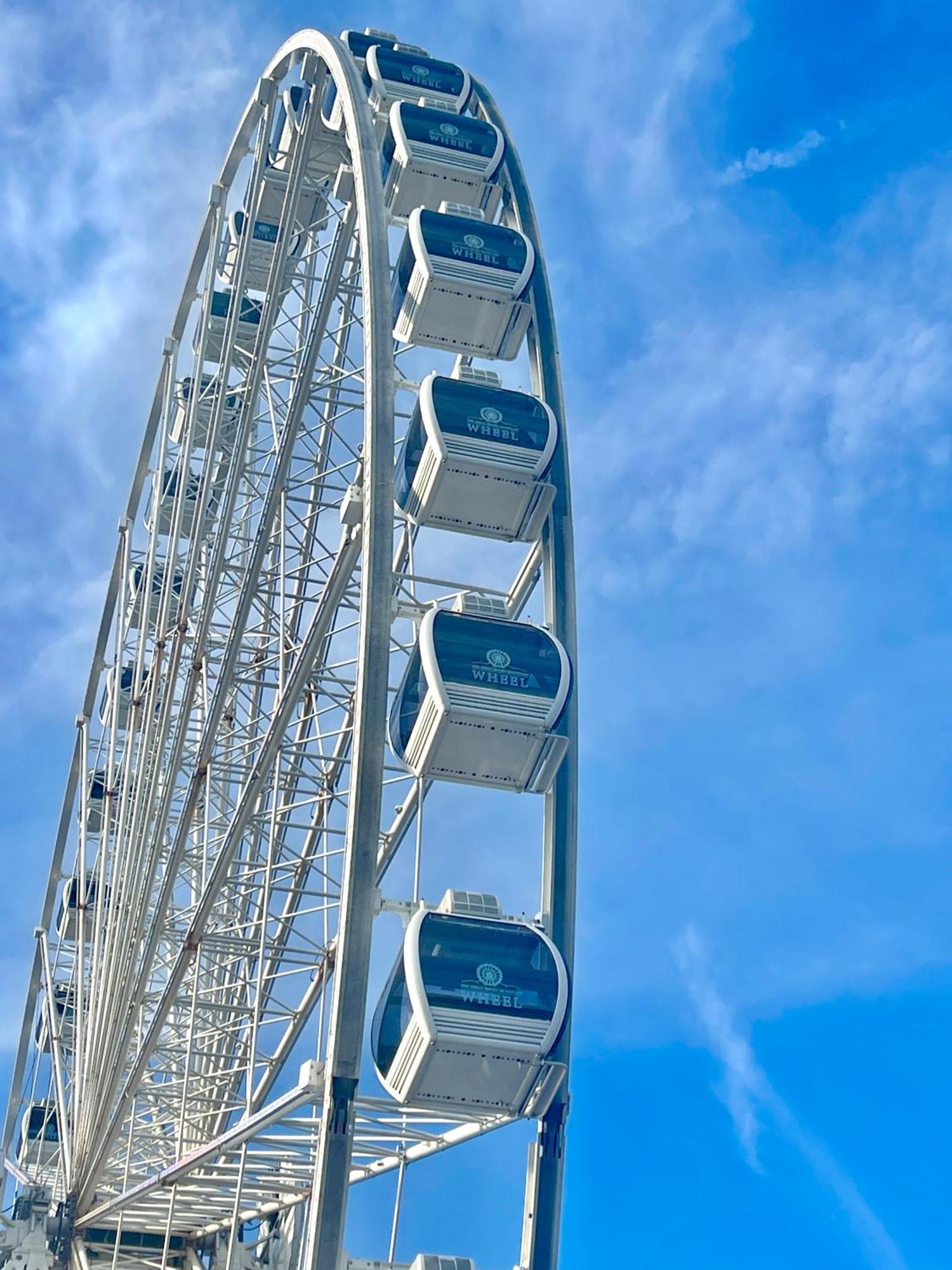 Blue Bear Splash Vila Pigeon Forge Exterior foto