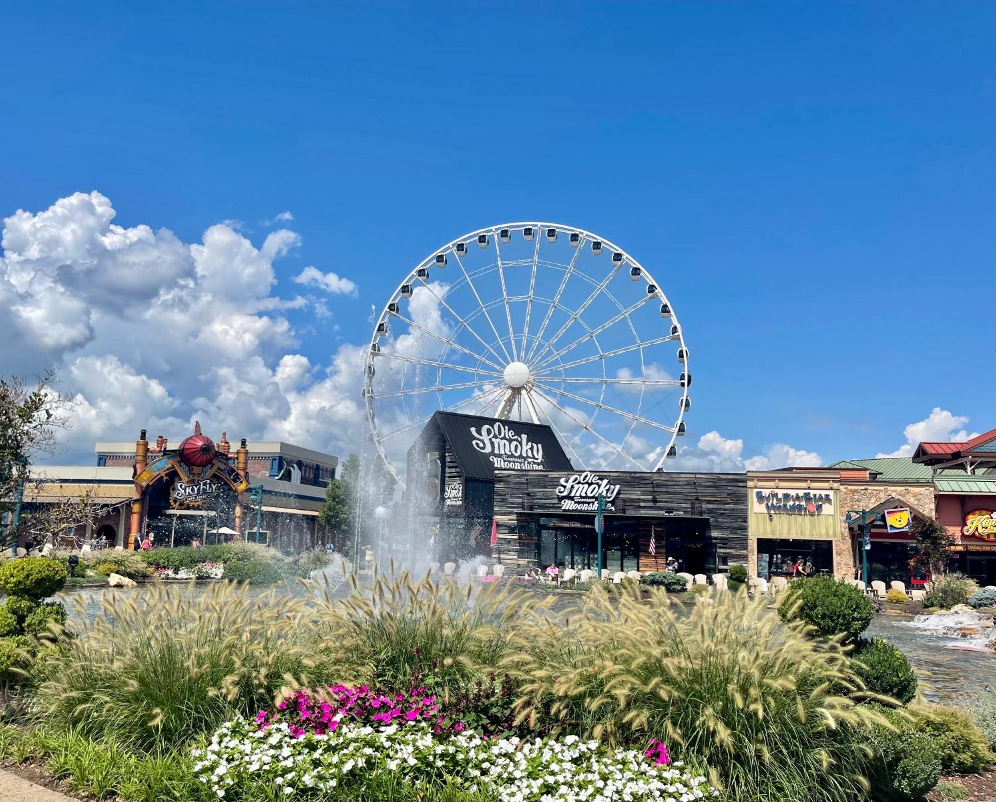 Blue Bear Splash Vila Pigeon Forge Exterior foto